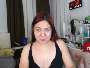 stellahugets
