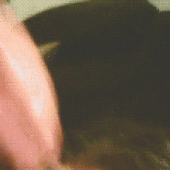 Facials and oral creampies — 55