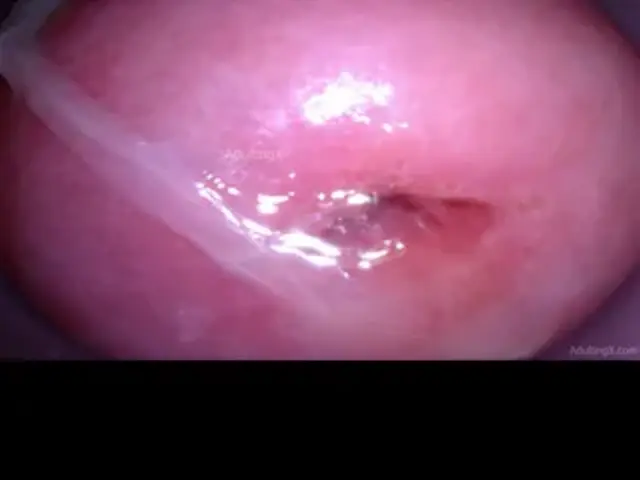 Camera in Vagina cumming, cervix throbbing, orgasm contractions, gfe raw talk, bts - My Muse Part 6